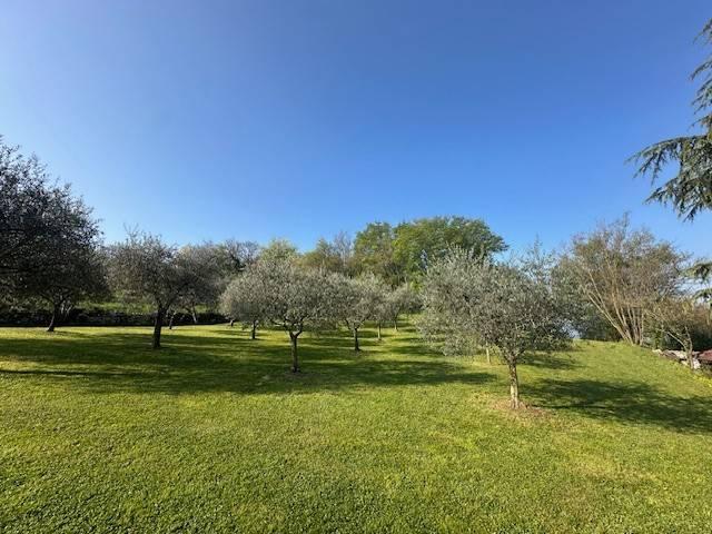 Villa Indipendente in vendita a Castelgomberto, Veneto