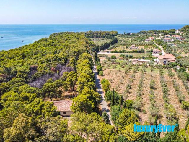 Villa Indipendente in vendita a Castellabate, Ogliastro Marina