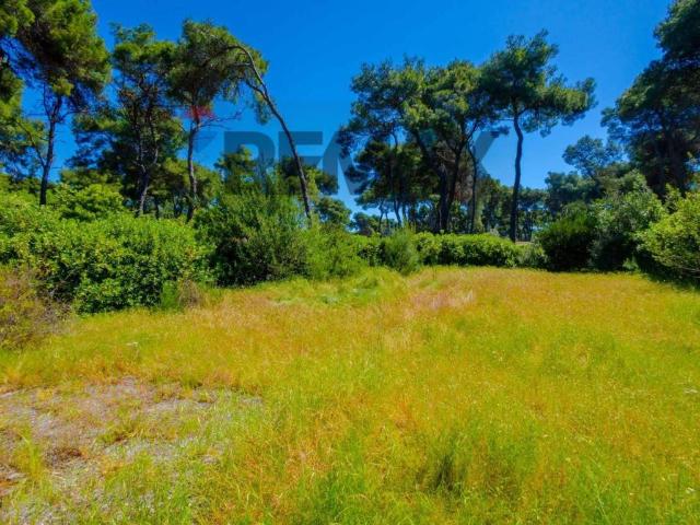 Villa Indipendente in vendita a Puglia, Taranto
