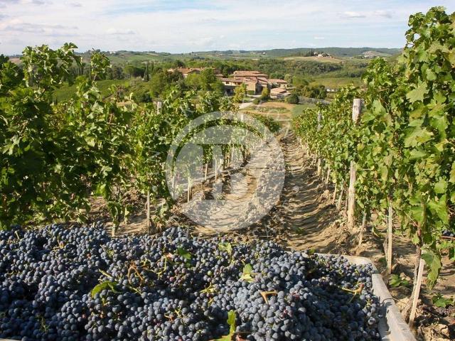 Villa Indipendente in vendita a Castellina In Chianti, Toscana