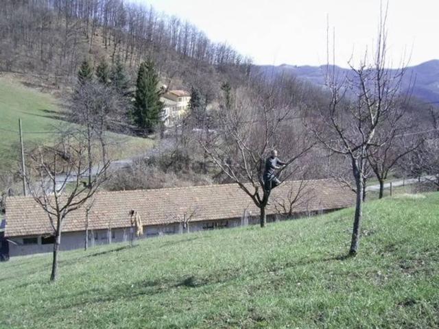 Villa Indipendente in vendita a Appennino Reggiano, Re