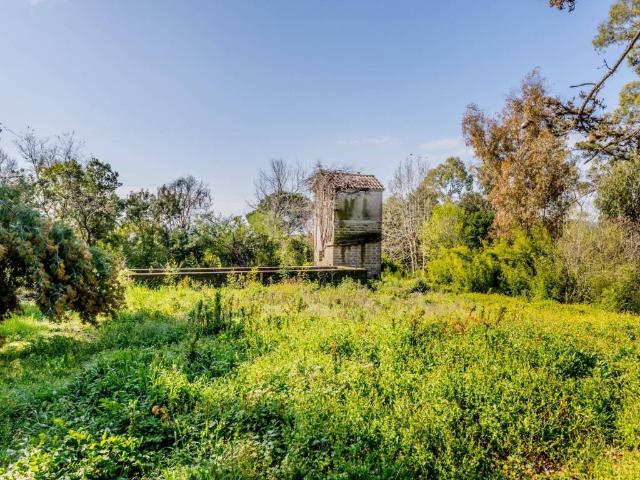 Villa Indipendente in vendita a Roma Capitale, Lazio