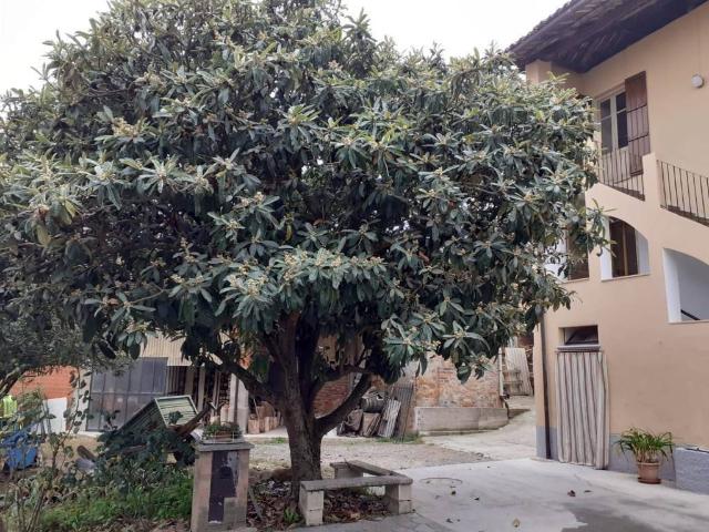 Villa Indipendente in vendita a Piemonte, Asti