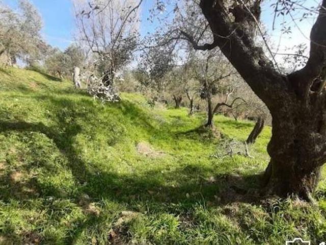 Villa Indipendente in vendita a Cerreta, Castelnuovo Magra