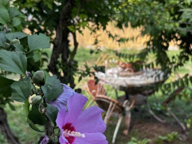 Villa Indipendente in vendita a Molino del Piano, Castelnuovo Magra