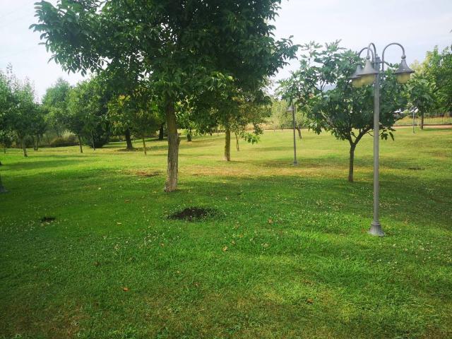 Villa Indipendente in vendita a Cerreta, Castelnuovo Magra