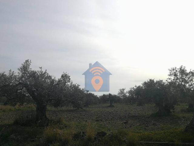 Villa Indipendente in vendita a Castelvetrano, Sicilia