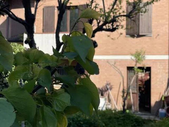 Villa Indipendente in vendita a Castelvetro di Modena, Modena