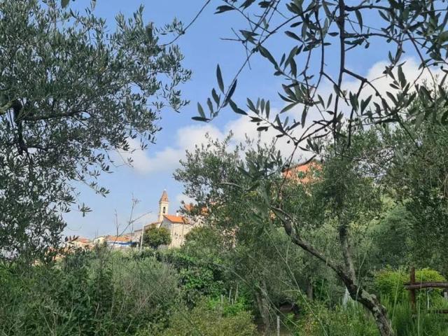 Villa Indipendente in vendita a Castiglione Chiavarese, Liguria