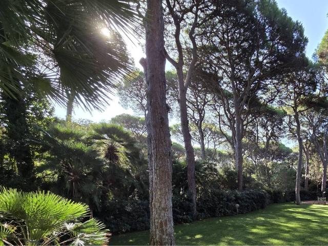 Villa Indipendente in vendita a Marina, Castiglione Della Pescaia