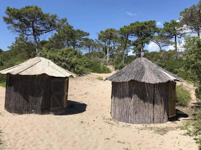 Villa Indipendente in vendita a Castiglione Della Pescaia, Toscana