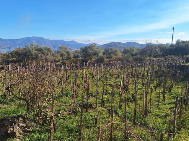Villa Indipendente in vendita a Castiglione Di Sicilia, Sicilia