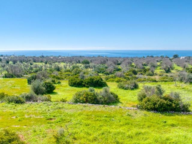 Villa Indipendente in vendita a Marina di Felloniche, Puglia