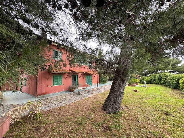 Villa Indipendente in vendita a Siano, Calabria