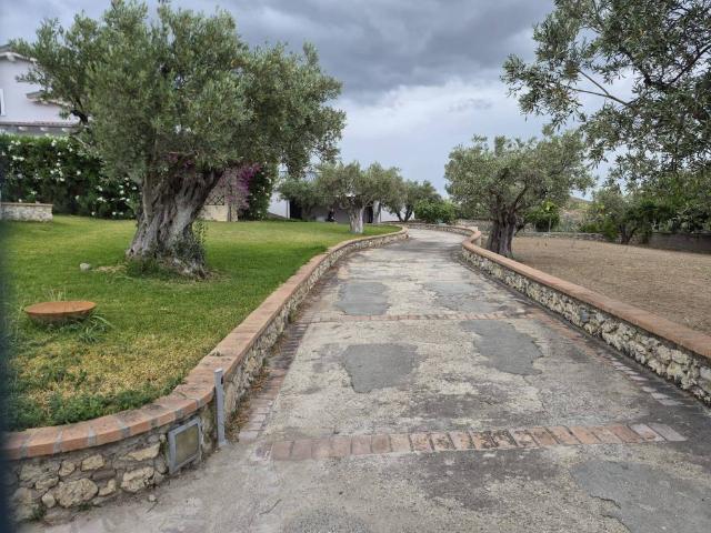 Villa Indipendente in vendita a Siano, Calabria