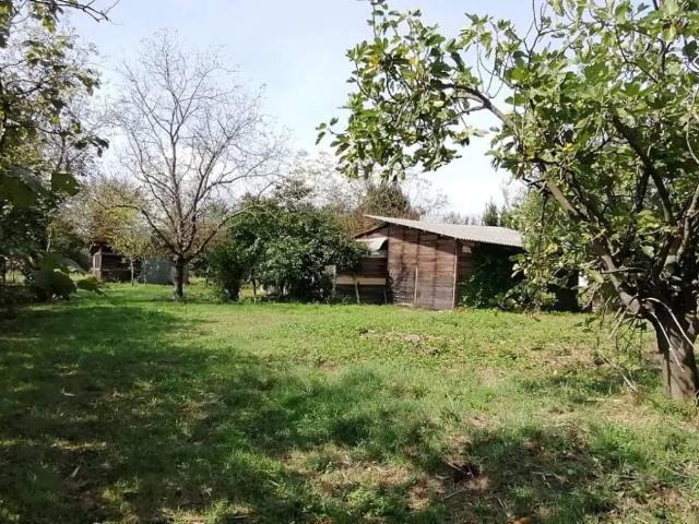 Villa Indipendente in vendita a Ceccano, Lazio