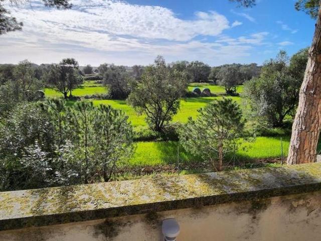 Villa Indipendente in vendita a Cecina, Toscana