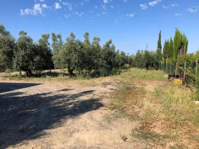 Villa Indipendente in vendita a Cecina, Toscana