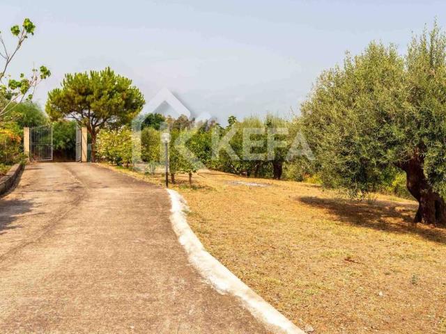 Villa Indipendente in vendita a Capo, Cefalù