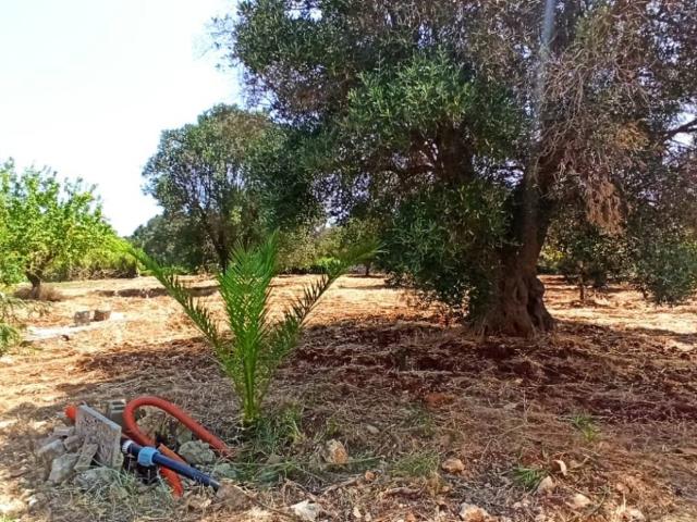 Villa Indipendente in vendita a Puglia, Brindisi