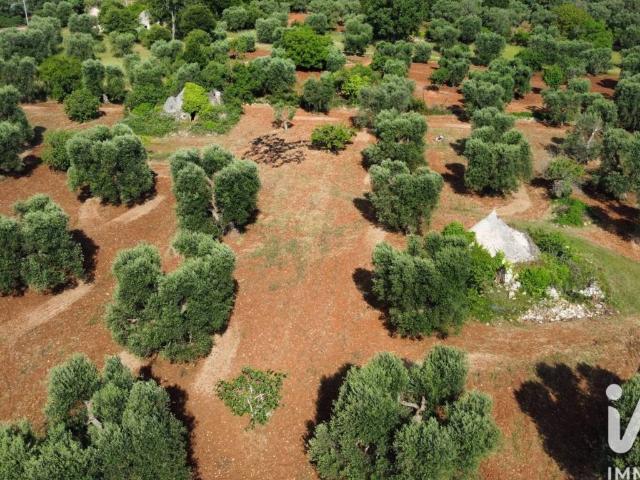 Rustico in vendita a Puglia, Brindisi