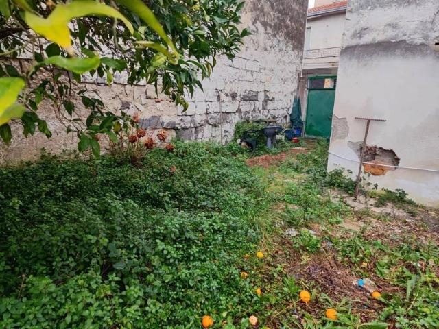 Villa Indipendente in vendita a Cellole, Campania