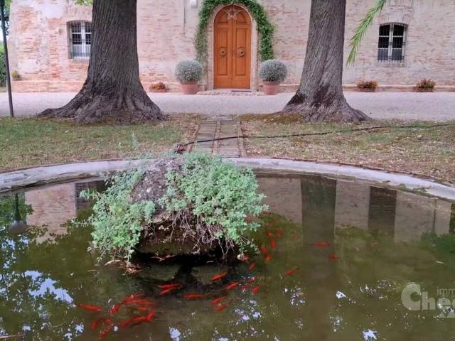Villa Indipendente in vendita a Villanova, Cepagatti