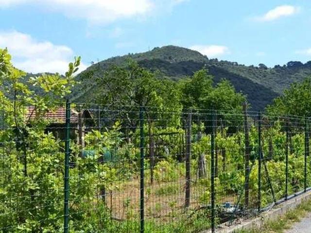 Villa Indipendente in vendita a Baiardo, Liguria