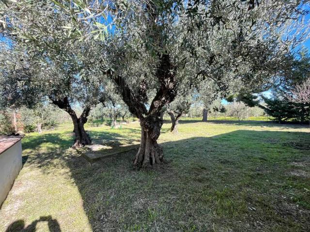 Villa Indipendente in vendita a Puglia, Foggia