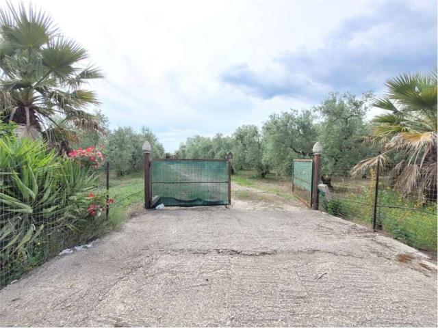 Villa Indipendente in vendita a Puglia, Foggia
