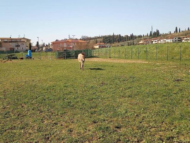 Villa Indipendente in vendita a Unione dei Comuni Circondario dell'Empolese Valdelsa, Cerreto Guidi