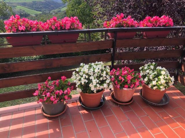 Villa Indipendente in vendita a Cerro Veronese, Veneto