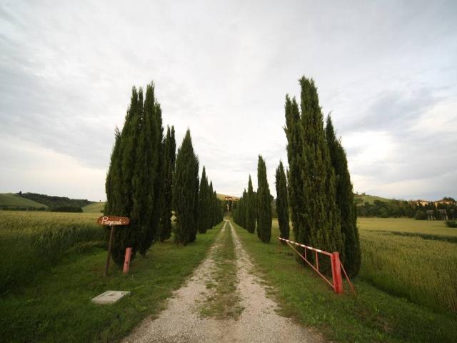 Villa Indipendente in vendita a Unione dei Comuni Circondario dell'Empolese Valdelsa, Lucardo