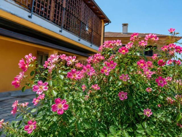 Villa Indipendente in vendita a Piemonte, Cuneo