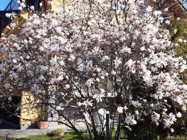Villa Indipendente in vendita a Piemonte, Cuneo