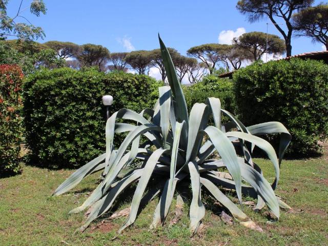 Villa Indipendente in vendita a Roma Capitale, Lazio