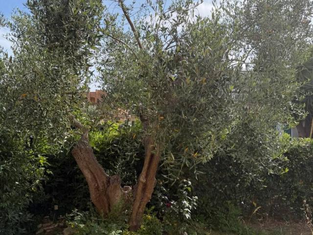 Villa Indipendente in vendita a Roma Capitale, Lazio