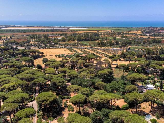 Villa Indipendente in vendita a Roma Capitale, Lazio