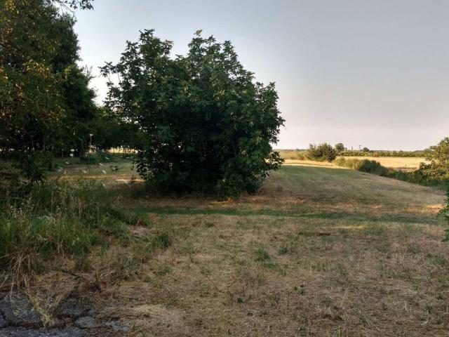 Villa Indipendente in vendita a Cervia, Reggio Emilia