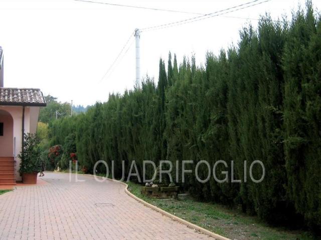 Villa Indipendente in vendita a Unione dei comuni Valle del Savio, Cesenà