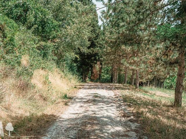 Villa Indipendente in vendita a Unione dei comuni Valle del Savio, Cesenà