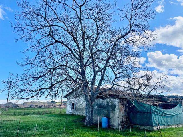 Villa Indipendente in vendita a Unione dei comuni Valle del Savio, Cesenà