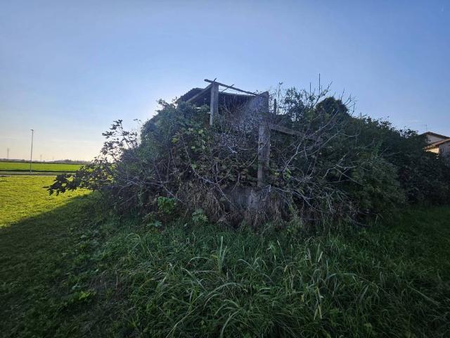 Villa Indipendente in vendita a Chiarano, Veneto