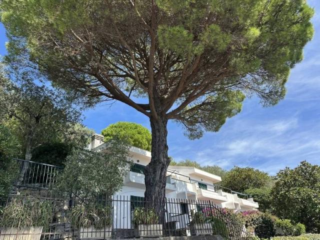 Villa Indipendente in vendita a Chiavari, Liguria