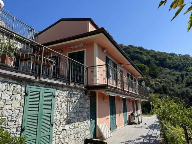 Villa Indipendente in vendita a Sanguineto, Chiavari