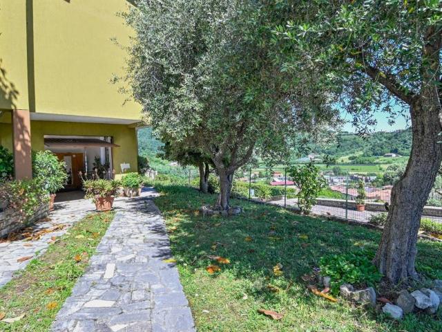 Villa Indipendente in vendita a Belvedere, Chiuduno