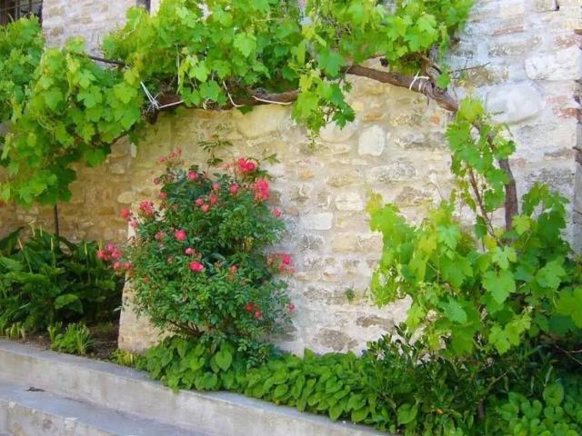 Villa Indipendente in vendita a Marche, Macerata
