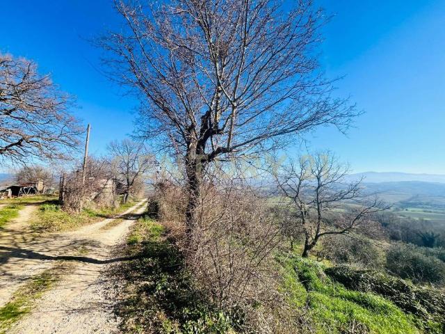 Villa Indipendente in vendita a Cinigiano, Toscana