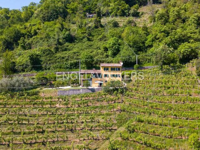 Villa Indipendente in vendita a Cison Di Valmarino, Veneto