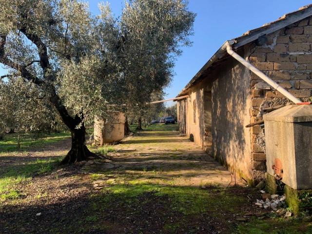 Villa Indipendente in vendita a Cisterna Di Latina, Lazio